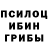 Псилоцибиновые грибы ЛСД Denis Himchenko
