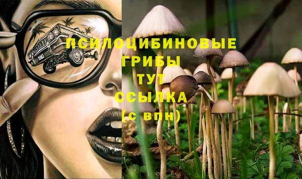 таблы Алексин