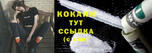 ешки Няндома