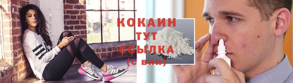 ешки Алексеевка