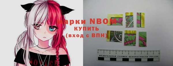 прущие грибы Алзамай
