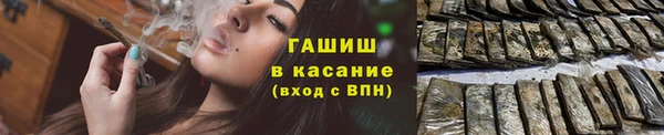 прущие грибы Алзамай