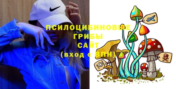 прущие грибы Алзамай