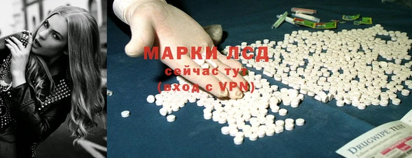 прущие грибы Алзамай