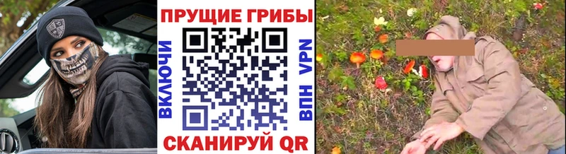 Псилоцибиновые грибы Psilocybine cubensis Байкальск